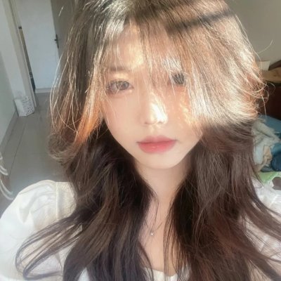 黑狐：希特勒