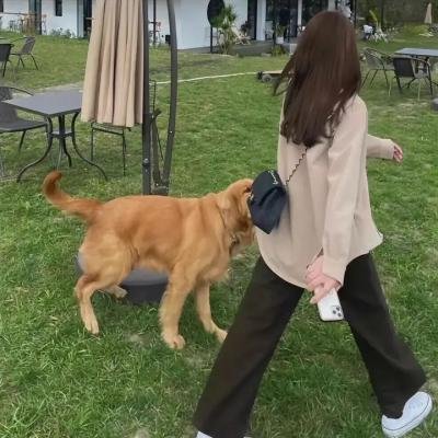 背起爸爸上学