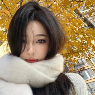躲在阁楼的安妮·法兰克